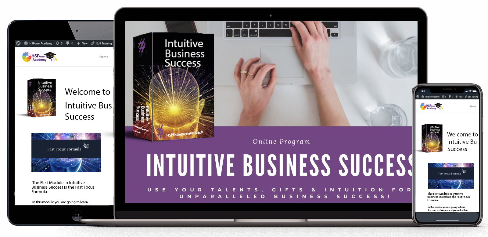 Intuitive Business Success System